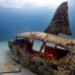 Dive Into BVI Wreck Week 2026 with Cuan Law: Explore, Give Back, and Sail the Caribbean